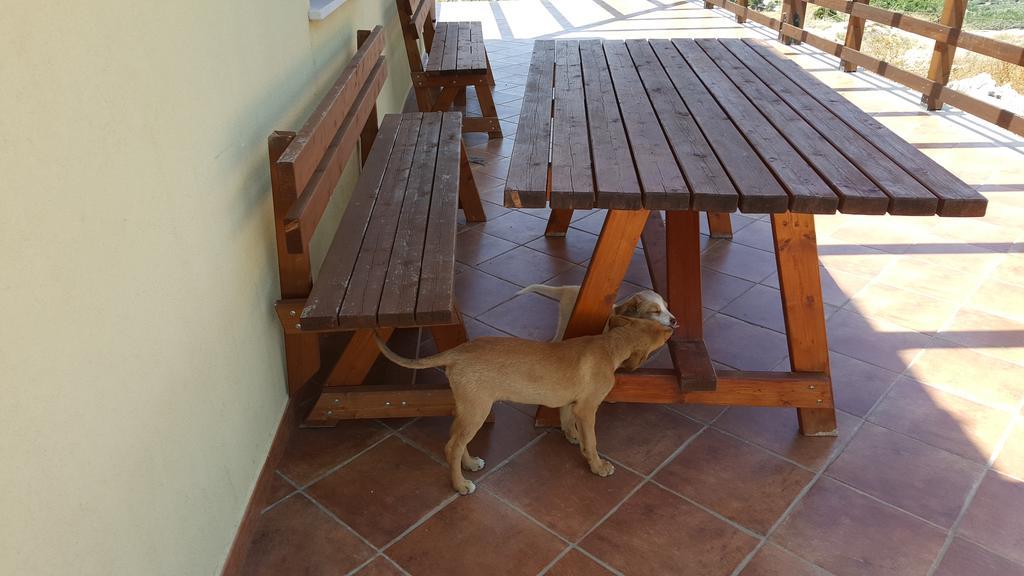 Agriturismo Gessi Calatafimi Kültér fotó