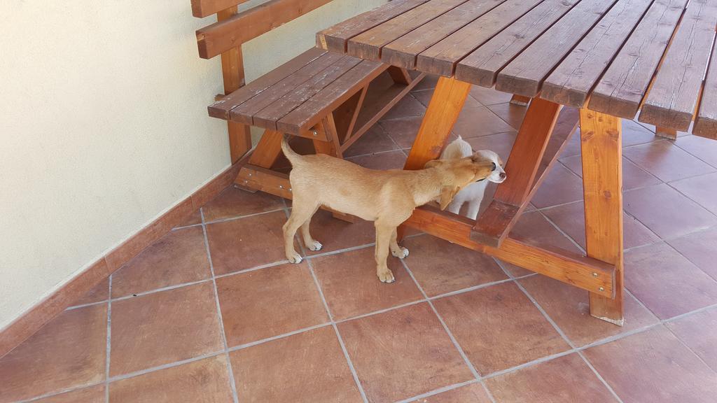 Agriturismo Gessi Calatafimi Kültér fotó